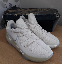 Nike LeBron 17 XVII Low Easter